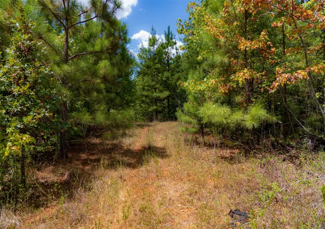 Photo 3 of Sale Pending at N County Road 1207, Rusk, TX 75785 | MLS# 21367326 | Listing updated on 2026-09-10