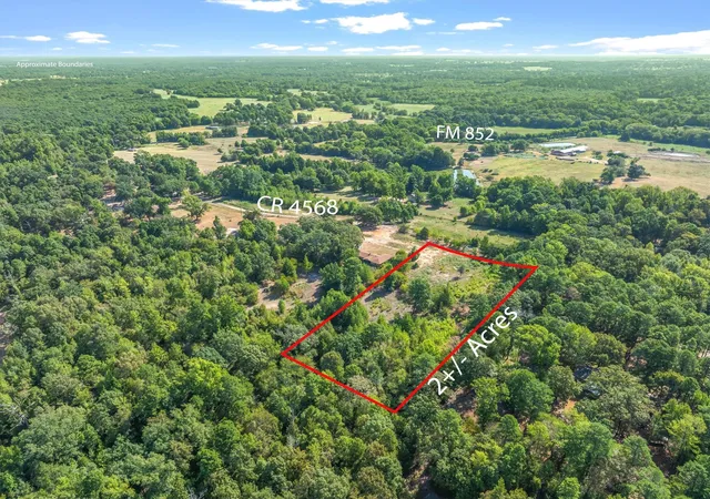 Photo 2 of Land for sale at Tbd Cr 4568, Winnsboro, TX 75494 | MLS# 21367935 | Listing updated on 2026-09-11