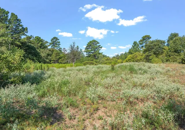 Photo 3 of Land for sale at Tbd Cr 4568, Winnsboro, TX 75494 | MLS# 21367935 | Listing updated on 2026-09-11