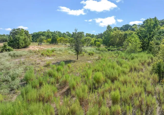 Photo 4 of Land for sale at Tbd Cr 4568, Winnsboro, TX 75494 | MLS# 21367935 | Listing updated on 2026-09-11