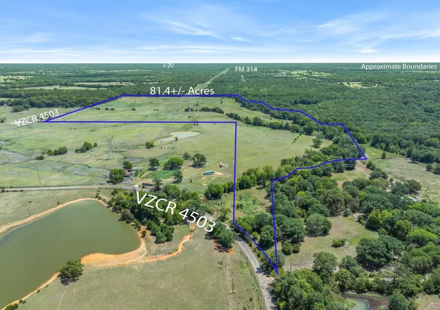 Photo 2 of Land for sale at Tbd Vz County Road 4503, Ben Wheeler, TX 75754 | MLS# 21366527 | Listing updated on 2026-09-10