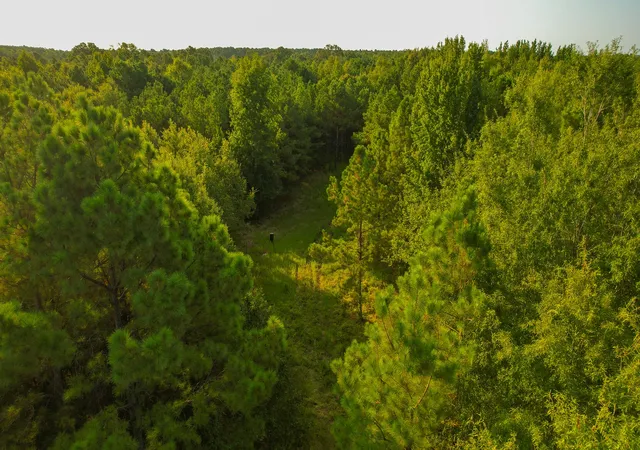 Photo 1 of Sale Pending at 1763 Fm 2118, Bagwell, TX 75412 | MLS# 21368753 | Listing updated on 2026-09-08