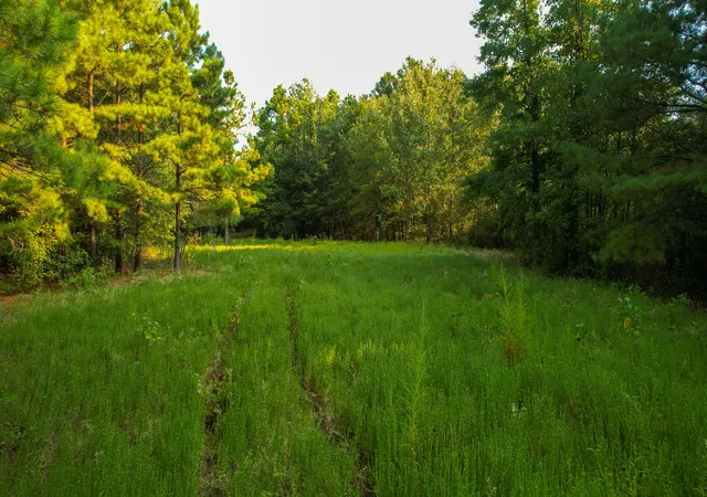Photo 2 of Sale Pending at 1763 Fm 2118, Bagwell, TX 75412 | MLS# 21368753 | Listing updated on 2026-09-08