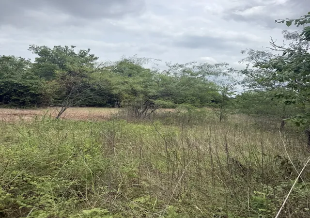 Photo 4 of Land for sale at Tbd 2 Mcknight, Ferris, TX 75125 | MLS# 21369736 | Listing updated on 2026-09-28