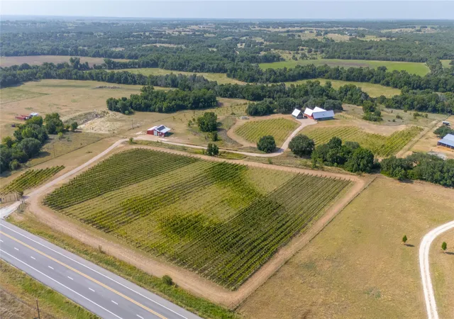 Photo 3 of Land for sale at 25270 E State Hwy 6, Hico, TX 76457 | MLS# 21367473 | Listing updated on 2026-09-09