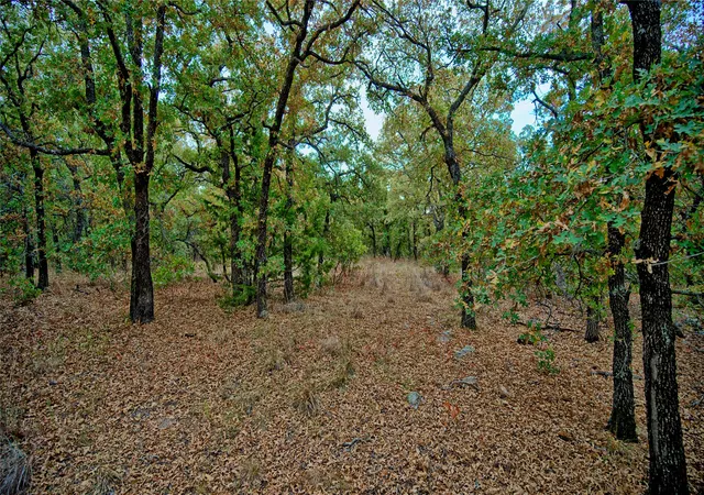 Photo 3 of Land for sale at Tbd Dixie School Rd, Nocona, TX 76255 | MLS# 21371662 | Listing updated on 2026-08-31