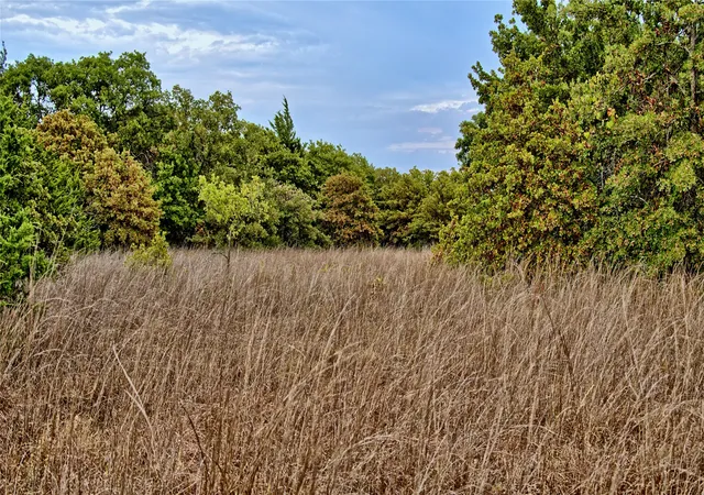 Photo 4 of Land for sale at Tbd Dixie School Rd, Nocona, TX 76255 | MLS# 21371662 | Listing updated on 2026-08-31