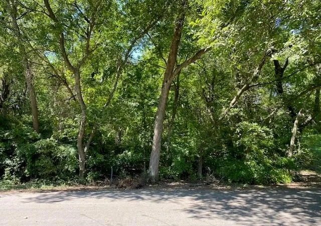 Photo 2 of Land for sale at 1207 Rita Ln, Duncanville, TX 75116 | MLS# 21372871 | Listing updated on 2026-09-14