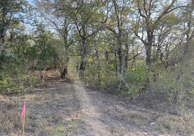 Photo 3 of Land for sale at Tbd Comewell Ct, Runaway Bay, TX 76426 | MLS# 21373171 | Listing updated on 2026-09-13