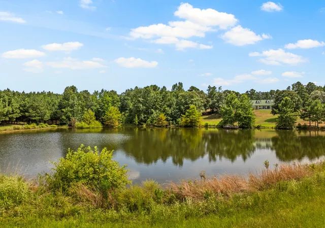 Photo 3 of Single family home for sale at 140 County Rd 2242, Daingerfield, TX 75638 | MLS# 21373548 | Listing updated on 2026-09-12