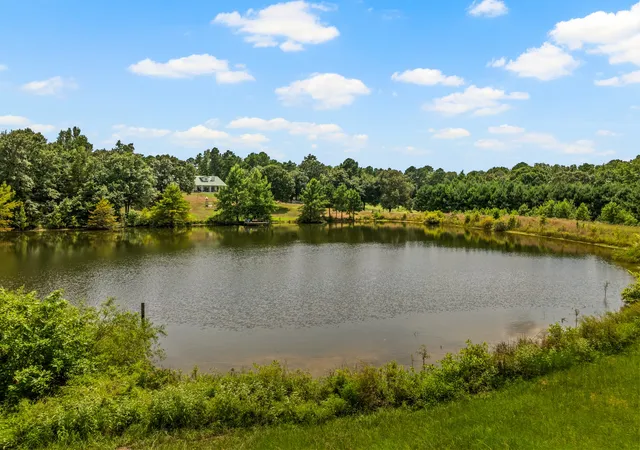 Photo 4 of Single family home for sale at 140 County Rd 2242, Daingerfield, TX 75638 | MLS# 21373548 | Listing updated on 2026-09-12