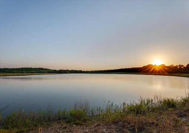 Land for sale at Tbd Fm 1027, Carbon, TX 76435 | MLS# 21353698