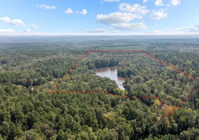 Photo 3 of Land for sale at 649 An County Rd 1215, Grapeland, TX 75844 | MLS# 21376209 | Listing updated on 2026-09-11