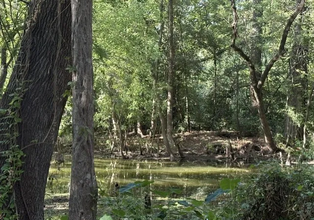Photo 4 of Single family home for sale at 3854 Michigan Blvd, Shreveport, LA 71109 | MLS# 21377180 | Listing updated on 2026-09-10
