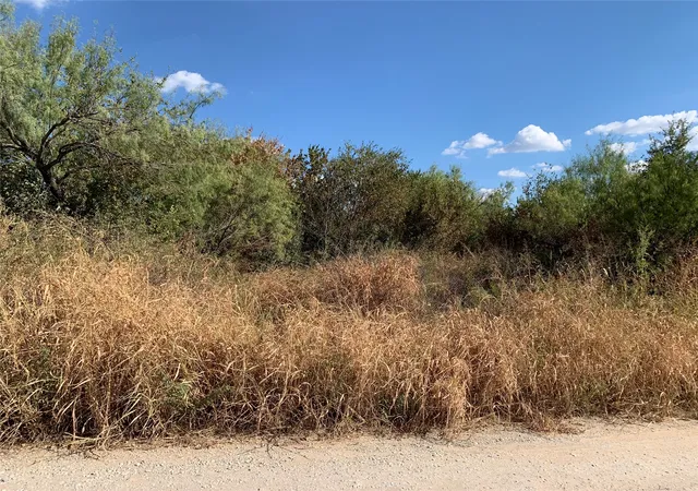 Photo 2 of Sale Pending at 000 Bridlewood Ln, Bridgeport, TX 76426 | MLS# 21378133 | Listing updated on 2026-09-18