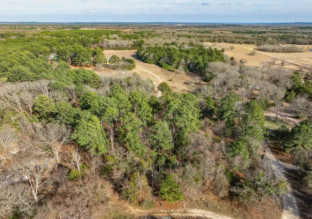 Photo 11 of Land for sale at 377 Acres County Rd 3520, Brownsboro, TX 75756 | MLS# 21370863 | Listing updated on 2026-09-15