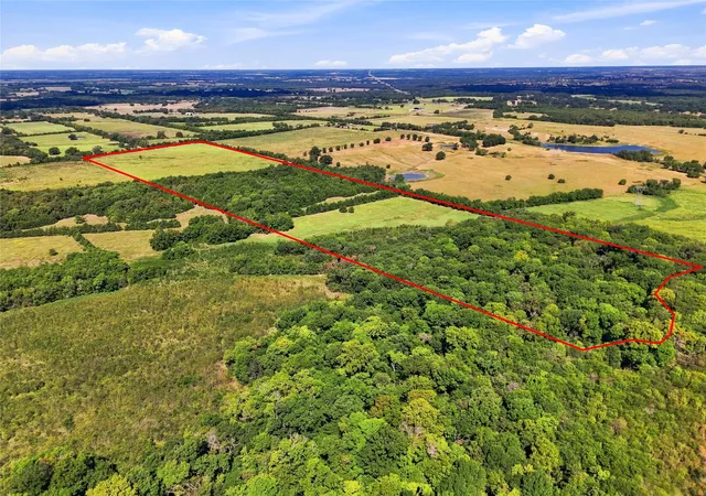 Photo 2 of Land for sale at 0000 Farm Rd 905, Pattonville, TX 75468 | MLS# 21379483 | Listing updated on 2026-10-02