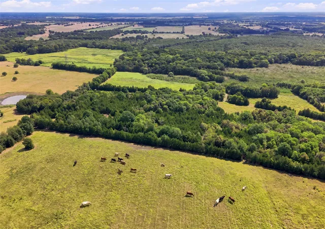 Photo 3 of Land for sale at 0000 Farm Rd 905, Pattonville, TX 75468 | MLS# 21379483 | Listing updated on 2026-10-02