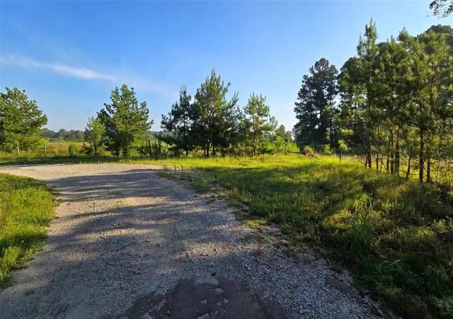 Photo 1 of Land for sale at 333 County Rd 3092, De Berry, TX 75639 | MLS# 21380046 | Listing updated on 2026-09-08