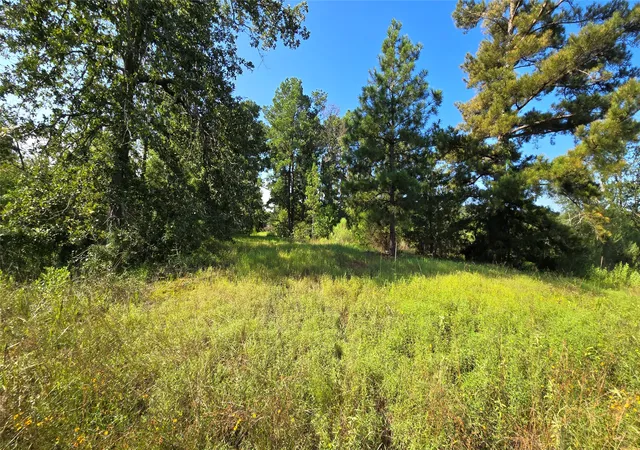 Photo 2 of Land for sale at 333 County Rd 3092, De Berry, TX 75639 | MLS# 21380046 | Listing updated on 2026-09-08
