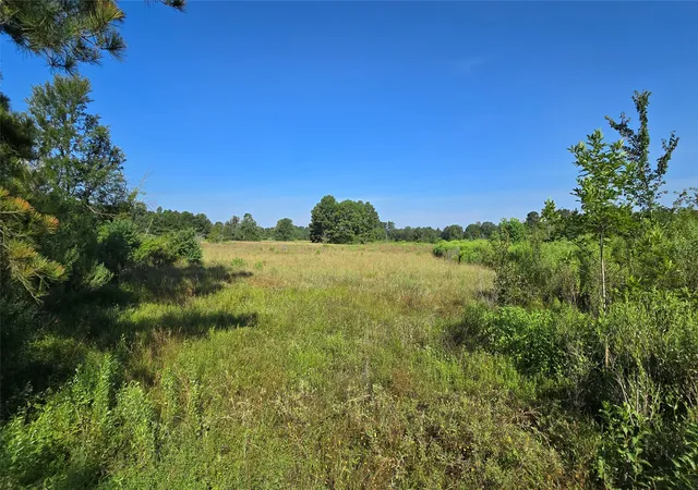 Photo 3 of Land for sale at 333 County Rd 3092, De Berry, TX 75639 | MLS# 21380046 | Listing updated on 2026-09-08