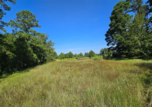 Photo 3 of Land for sale at 333 County Rd 3092, De Berry, TX 75639 | MLS# 21380046 | Listing updated on 2026-09-08