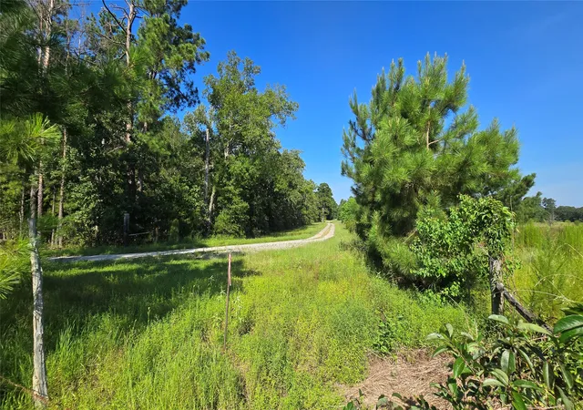 Photo 4 of Land for sale at 333 County Rd 3092, De Berry, TX 75639 | MLS# 21380046 | Listing updated on 2026-09-08