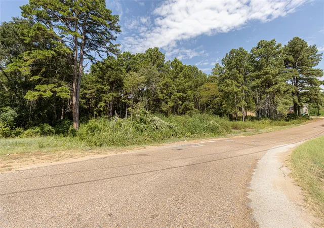 Photo 1 of Land for sale at Tbd Valleyview Dr, Frankston, TX 75763 | MLS# 21380068 | Listing updated on 2026-09-12