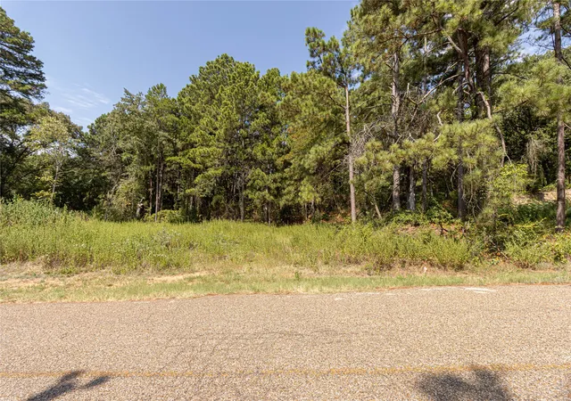 Photo 2 of Land for sale at Tbd Valleyview Dr, Frankston, TX 75763 | MLS# 21380068 | Listing updated on 2026-09-12