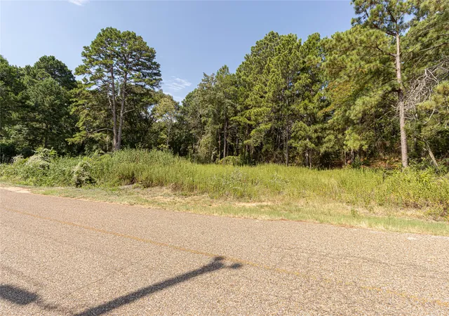 Photo 3 of Land for sale at Tbd Valleyview Dr, Frankston, TX 75763 | MLS# 21380068 | Listing updated on 2026-09-12
