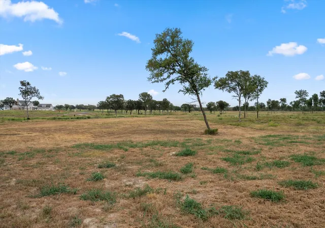 Photo 4 of Land for sale at Lot 149 Solitude Ct, Richland, TX 76681 | MLS# 21380135 | Listing updated on 2026-09-11