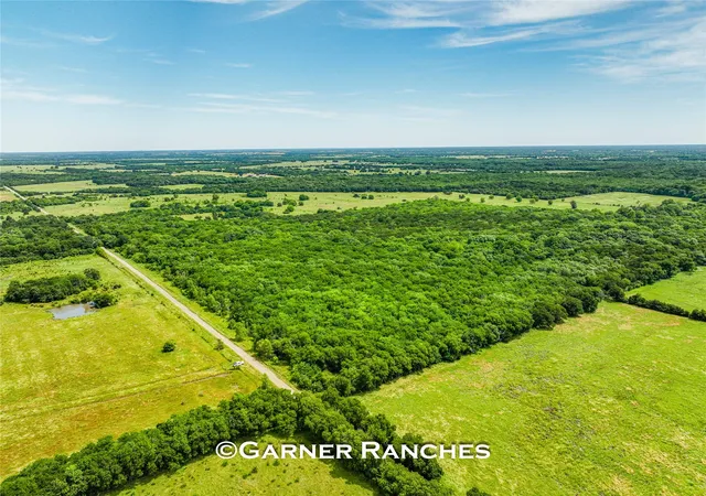 Photo 2 of Land for sale at 0000 County Rd 1019, Celeste, TX 75423 | MLS# 21380526 | Listing updated on 2026-09-08