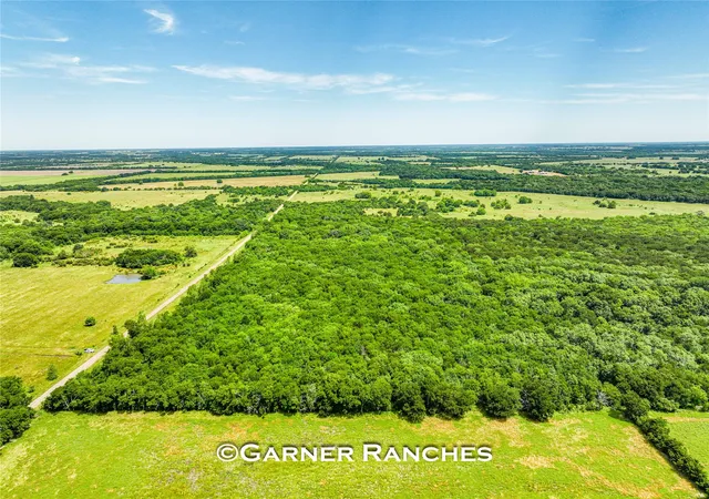 Photo 3 of Land for sale at 0000 County Rd 1019, Celeste, TX 75423 | MLS# 21380526 | Listing updated on 2026-09-08