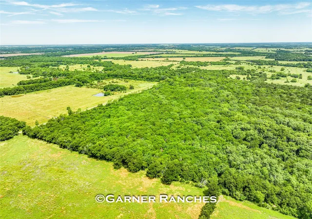 Photo 3 of Land for sale at 0000 County Rd 1019, Celeste, TX 75423 | MLS# 21380526 | Listing updated on 2026-09-08