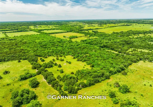 Photo 4 of Land for sale at 0000 County Rd 1019, Celeste, TX 75423 | MLS# 21380526 | Listing updated on 2026-09-08