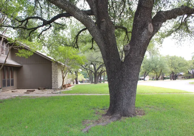 Photo 3 of Single family home for sale at 115 Sandra Palmer St, Stephenville, TX 76401 | MLS# 21380540 | Listing updated on 2026-09-08