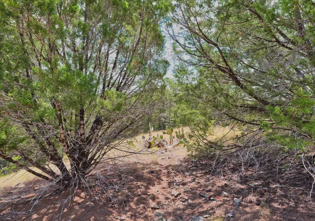Photo 1 of Land for sale at 262 Grand Cyn Dr, Oglesby, TX 76561 | MLS# 21378565 | Listing updated on 2026-09-14