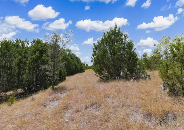 Photo 2 of Land for sale at 262 Grand Cyn Dr, Oglesby, TX 76561 | MLS# 21378565 | Listing updated on 2026-09-14