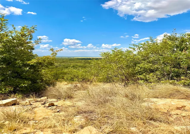 Photo 1 of Land for sale at Tbd Tract 7 Pecan Shell Rd, Desdemona, TX 76445 | MLS# 21380679 | Listing updated on 2026-09-09