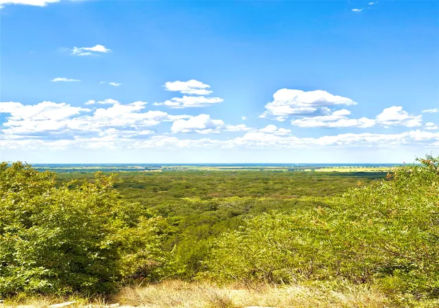 Photo 2 of Land for sale at Tbd Tract 7 Pecan Shell Rd, Desdemona, TX 76445 | MLS# 21380679 | Listing updated on 2026-09-09