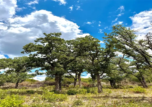 Photo 3 of Land for sale at Tbd Tract 7 Pecan Shell Rd, Desdemona, TX 76445 | MLS# 21380679 | Listing updated on 2026-09-09