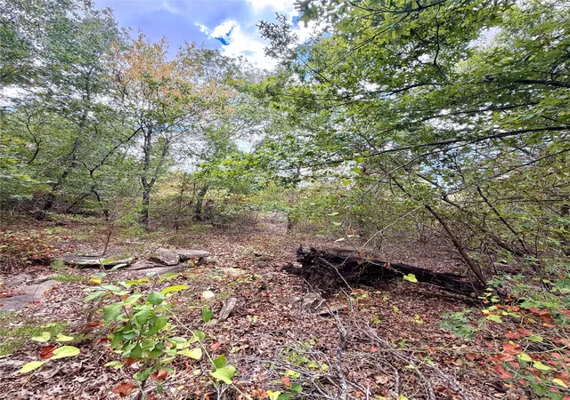 Photo 3 of Land for sale at Tbd Tract 7 Pecan Shell Rd, Desdemona, TX 76445 | MLS# 21380679 | Listing updated on 2026-09-09