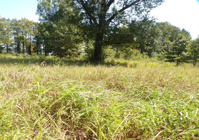 Photo 3 of Land for sale at 0 Collier Trl, Lewisville, AR 71845 | MLS# 21380755 | Listing updated on 2026-09-09