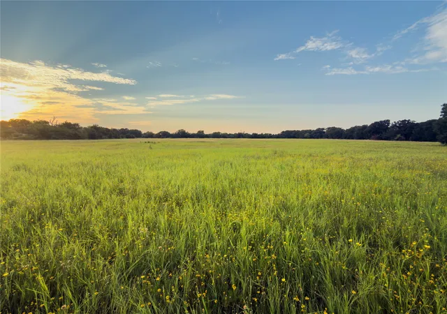 Photo 3 of Land for sale at Lot 7 Wilson Rd, Waco, TX 76705 | MLS# 21380958 | Listing updated on 2026-09-09