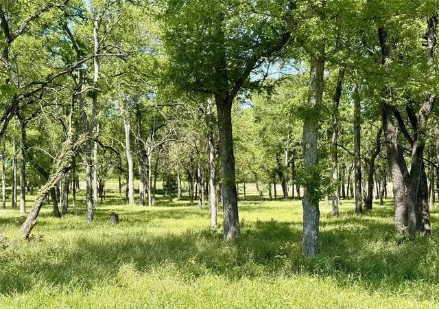 Photo 3 of Land for sale at 1099 Hidden Oaks Dr, Wills Point, TX 75169 | MLS# 21380125 | Listing updated on 2026-10-01