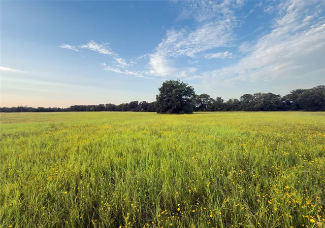 Photo 4 of Land for sale at Lot 8 Wilson Rd, Waco, TX 76705 | MLS# 21380981 | Listing updated on 2026-09-09