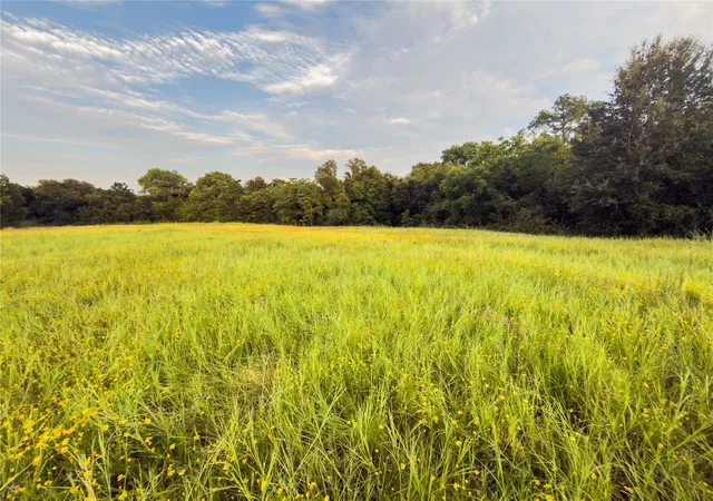 Photo 3 of Land for sale at Lot 9 Wilson Rd, Waco, TX 76705 | MLS# 21380997 | Listing updated on 2026-09-09