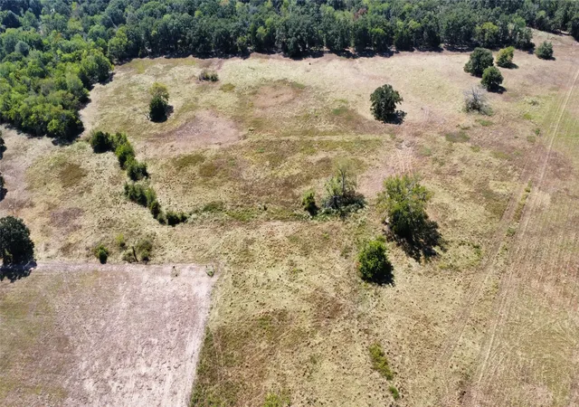 Photo 4 of Land for sale at 1000 Rs County Rd 3237, Emory, TX 75440 | MLS# 21381022 | Listing updated on 2026-09-13