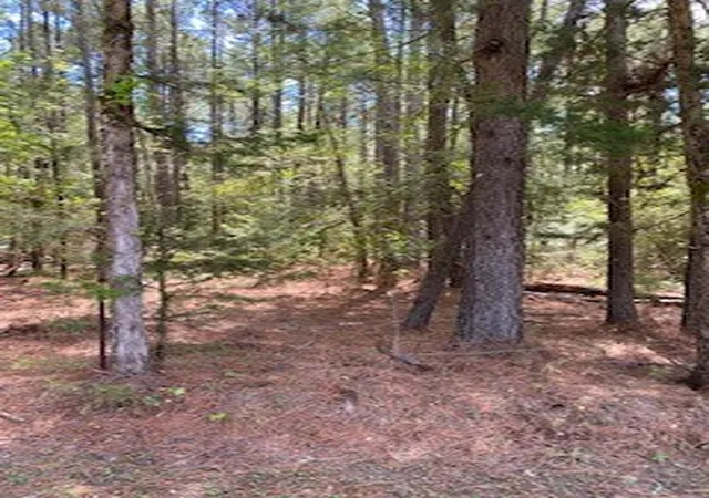 Photo 3 of Land for sale at 0 Wilderness Rd, Benton, LA 71006 | MLS# 21380928 | Listing updated on 2026-09-09