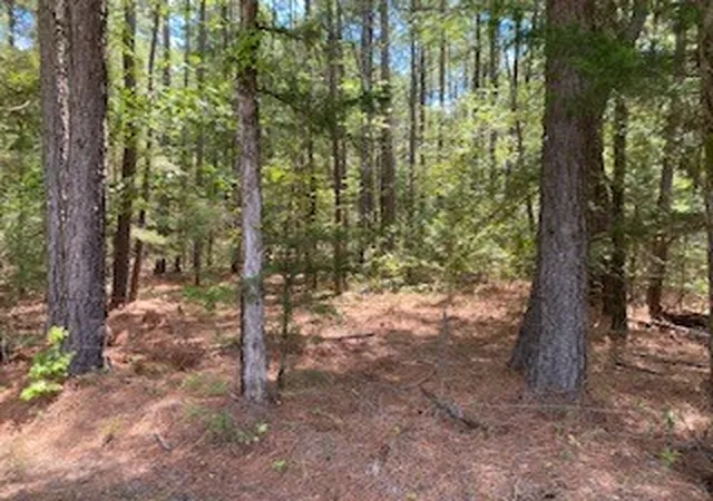 Photo 4 of Land for sale at 0 Wilderness Rd, Benton, LA 71006 | MLS# 21380928 | Listing updated on 2026-09-09